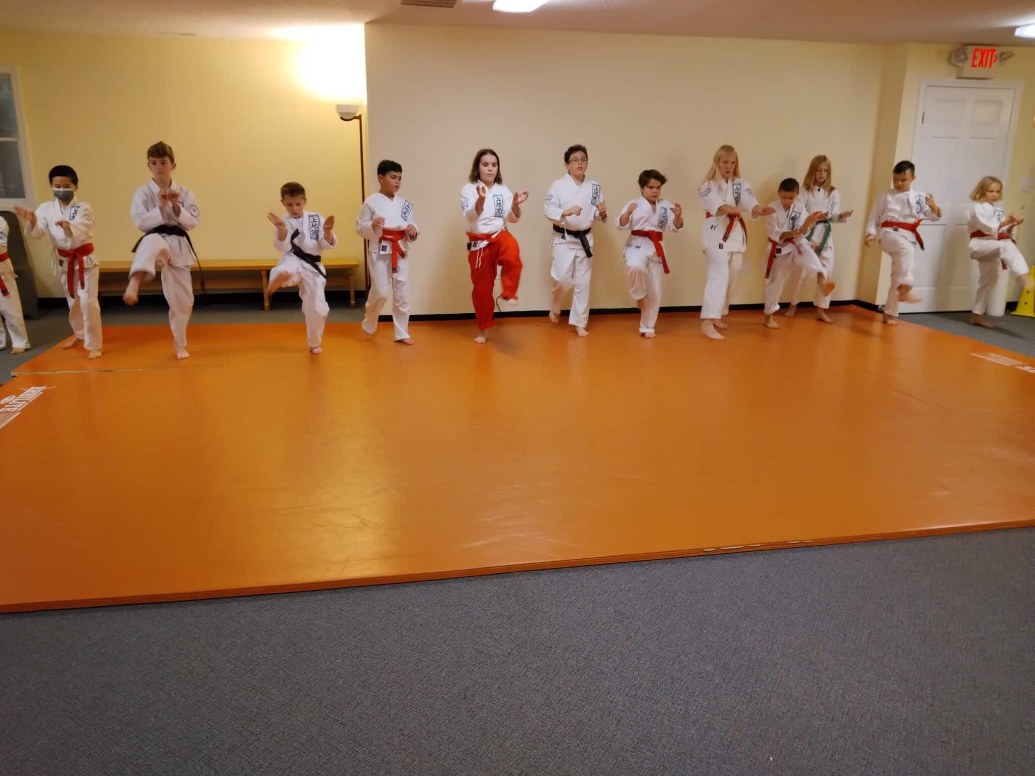Neil Stone's Karate Academy Juniors