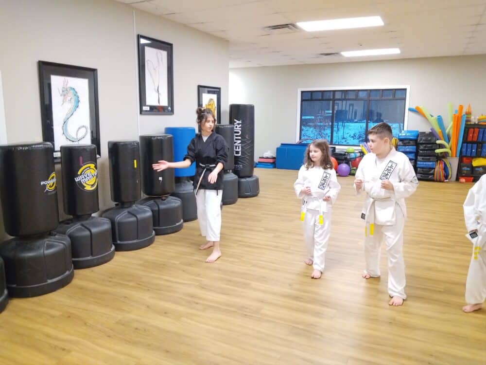 Neil Stone's Karate Academy Gallery Photo Number 5