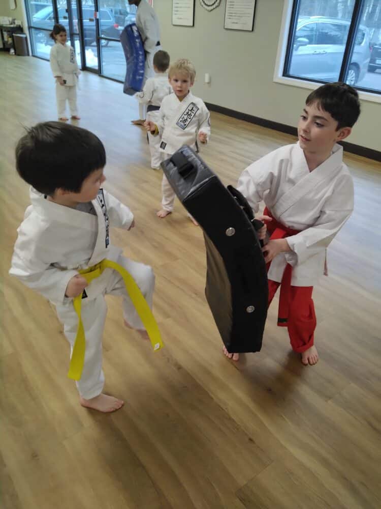 Neil Stone's Karate Academy Gallery Photo Number 3