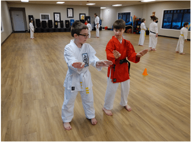 Neil Stone's Karate Academy Leadership Development