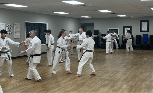 Neil Stone's Karate Academy Teens and Adults